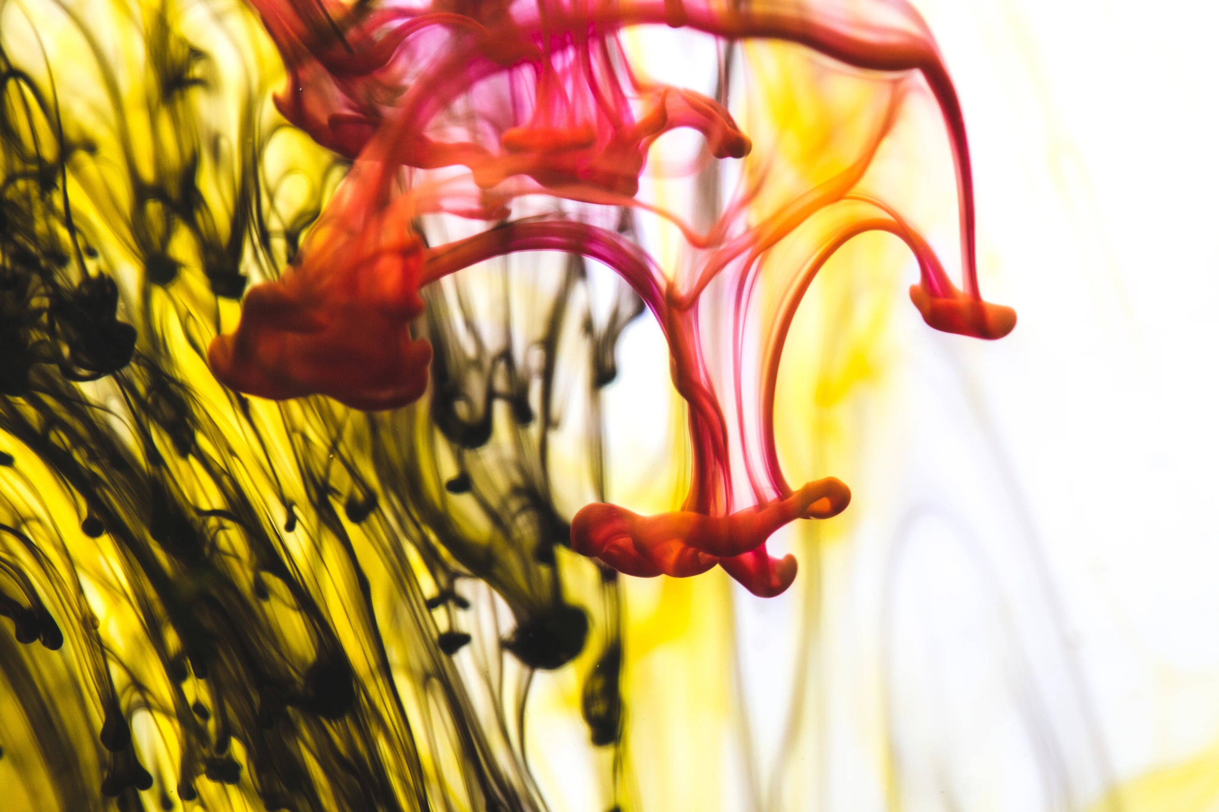 Sublimationsdruck: Eine wahre Liebesgeschichte zwischen Farben und Materialien